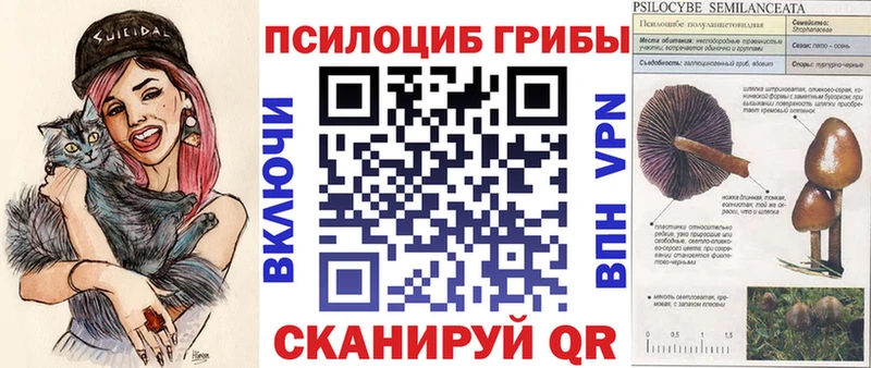 Галлюциногенные грибы GOLDEN TEACHER  цены   Реж 