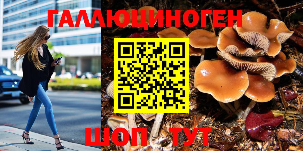Галлюциногенные грибы GOLDEN TEACHER  Вход с VPN  Реж 