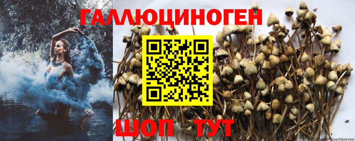 Псилоцибиновые грибы ЛСД Реж